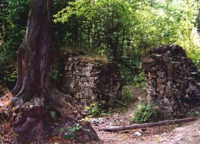 Bogdan Pudełko - Ruiny zamku Wołek (wyróżnienie)