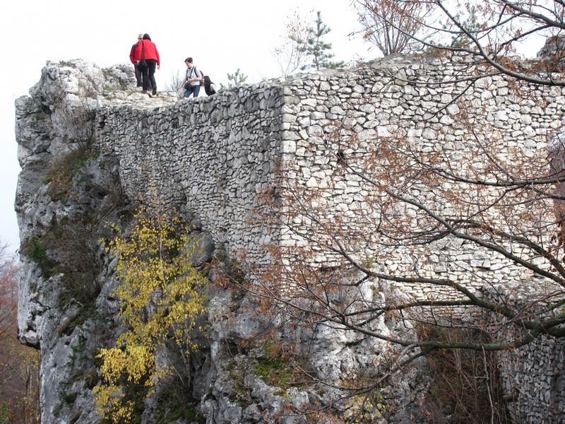 ruiny zamku Bąkowiec w Morsku