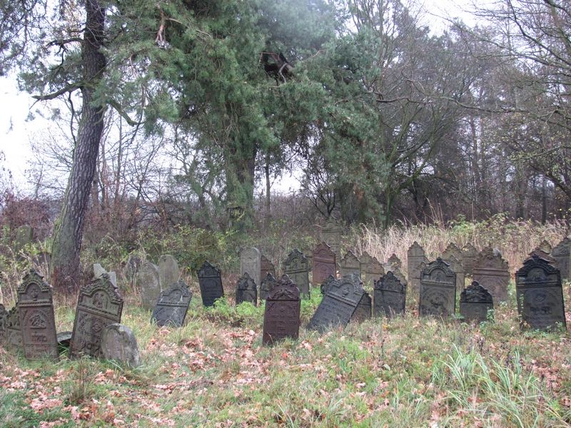  Zaledwie kilkaset metrów poza murami historycznych Krzepic, zastaliśmy unikatowy cmentarz żydowski